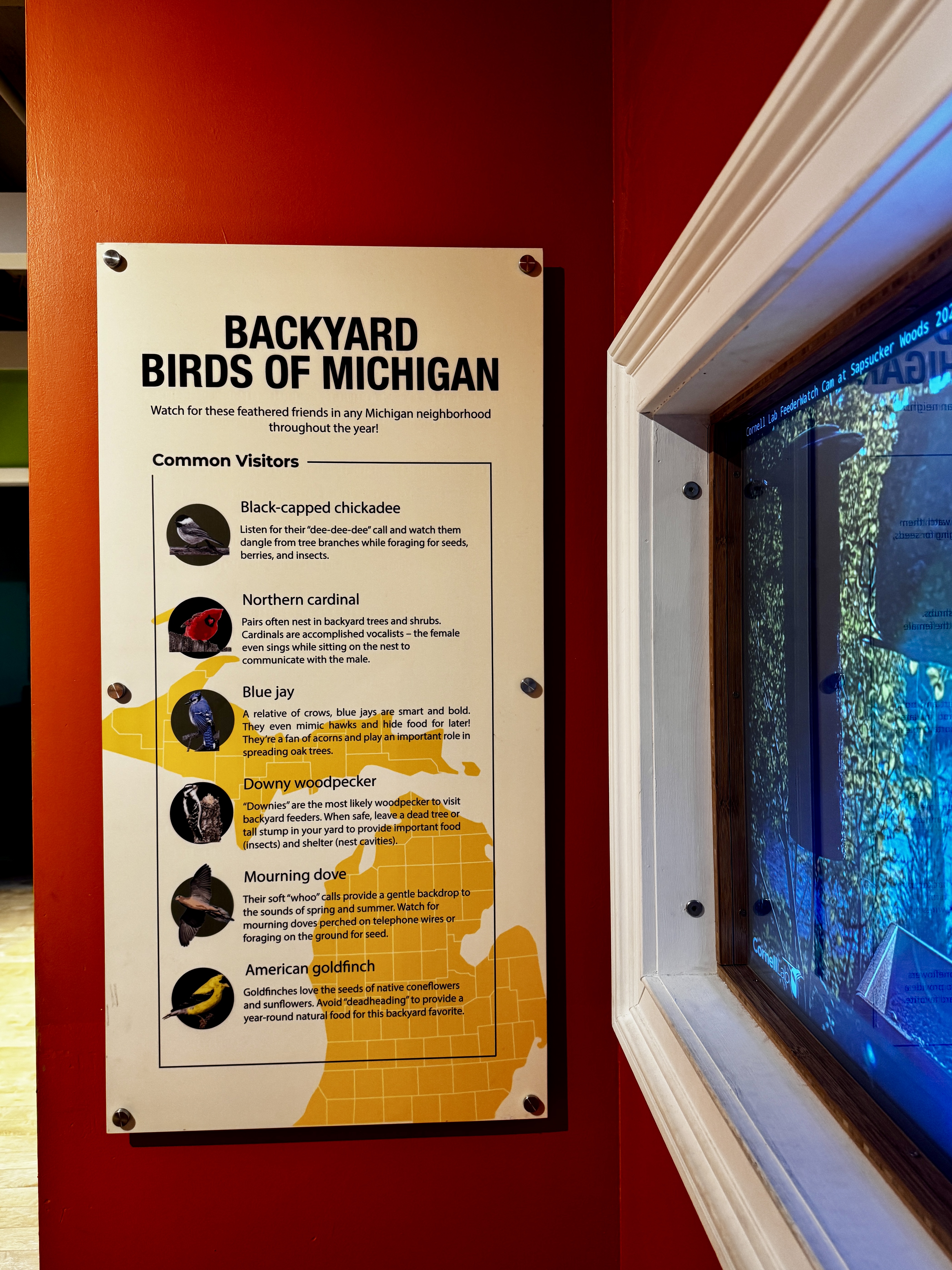 Editorial design sample 4