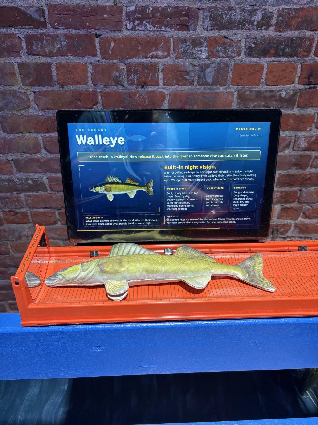 Second walleye view showing the screen layout