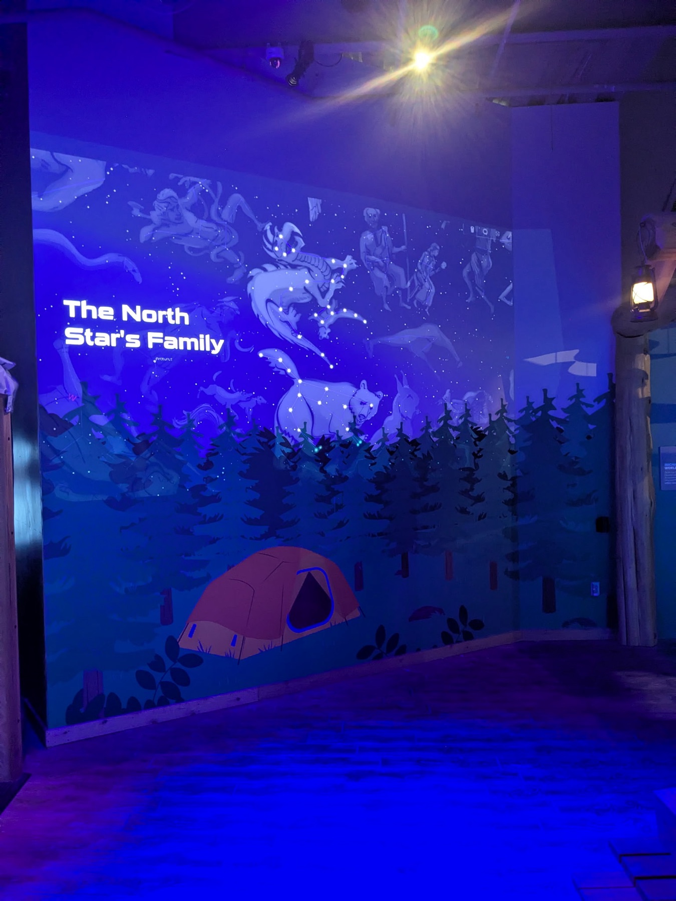 Night Sky constellation wall